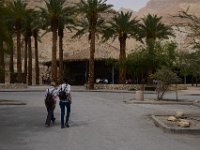 ein gedi